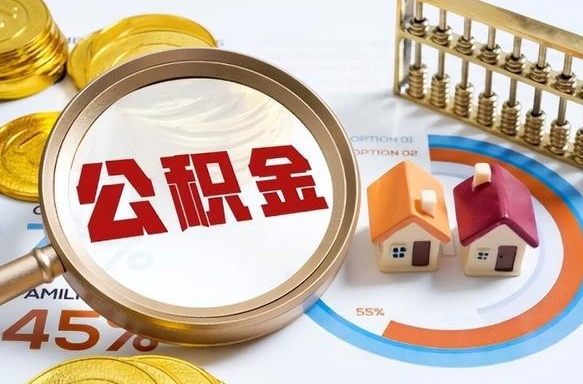 乐陵离职了园区公积金一次性代提出（苏州园区住房公积金离职提取）